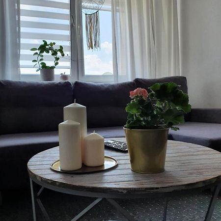 מאלבורק Apartament Przy Ratuszu מראה חיצוני תמונה